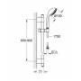 Душевой гарнитур GROHE Trio Relexa 28831000. Фото