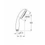 Ручной душ GROHE Tempesta New 28578001. Фото